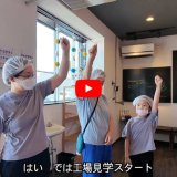 食物アレルギーがあっても安心！トントンパンの工場見学で心ときめく体験を