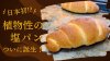 tontonの塩パン | アレルギー対応パンのtonton