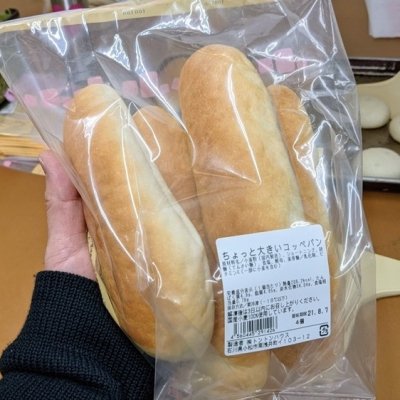 こっぺぱん様 限定商品 90cmサイズ4点 ちょっと大きいコッペパン (4