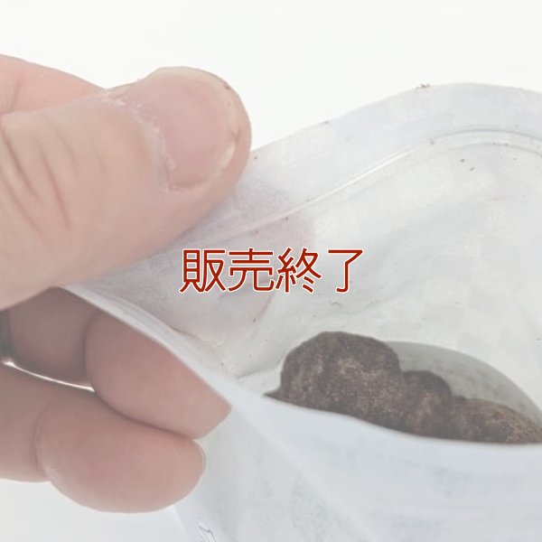 チョコデニッシュラスク | アレルギー対応パンのtonton