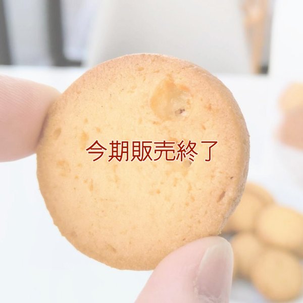 メープルクッキー（12枚入り）プレーンクッキー（12枚入り） | アレルギー対応パンのtonton