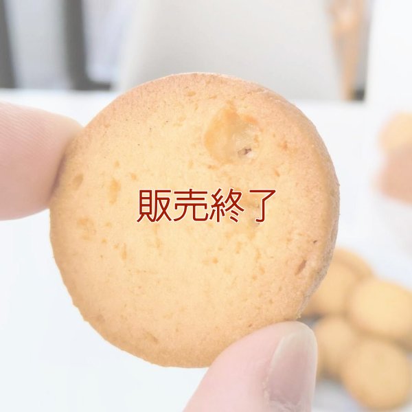 メープルクッキー（12枚入り）プレーンクッキー（12枚入り） | アレルギー対応パンのtonton