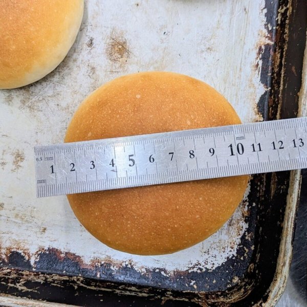 ちょっと大きいハンバーガー用のパン (4個入り) | アレルギー対応パンのtonton