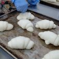 植物性塩パン | アレルギー対応パンのtonton