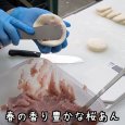《期間限定》サクラあんパン