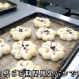 《期間限定》サクラあんパン