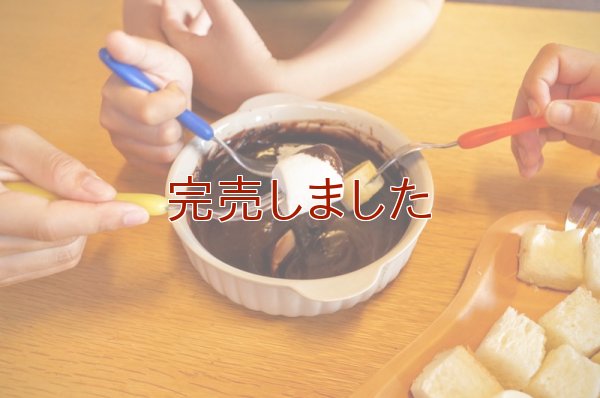 【辻安全食品】元祖板チョコ