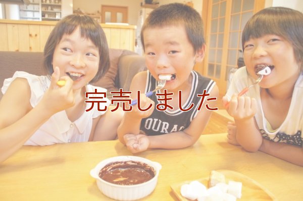 【辻安全食品】元祖板チョコ