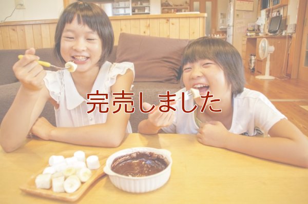 【辻安全食品】元祖板チョコ