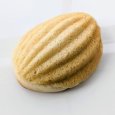 カスタードクリームメロンパン | アレルギー対応パンのtonton
