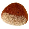 《期間限定》黒糖香る栗あんパン | アレルギー対応パンのtonton