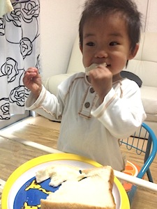 息子は1歳と9ヶ月になりますが、乳と卵と落花生の食物アレルギー