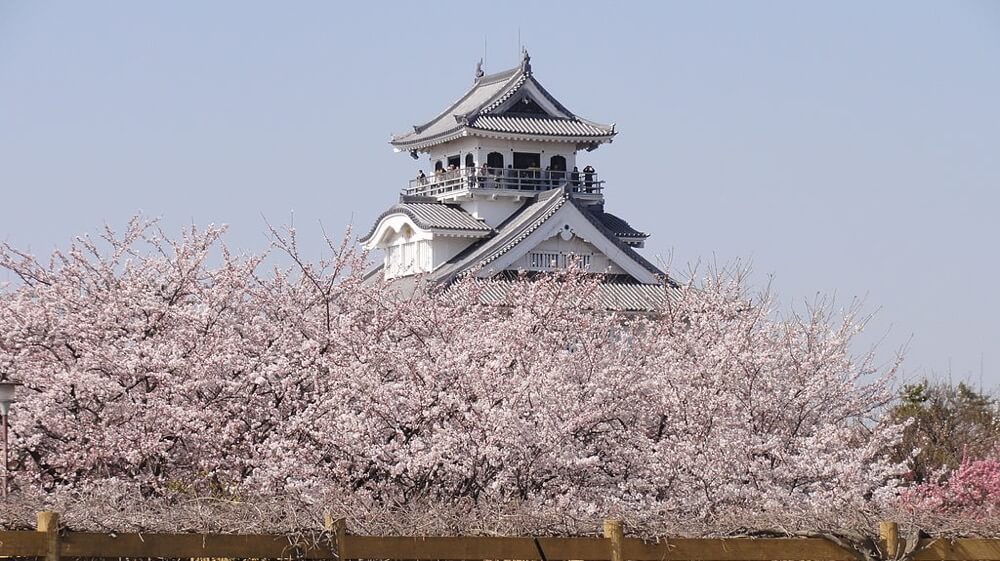 滋賀県のオススメのスポットやアレルギー対応のカフェをご存知ありませんか？