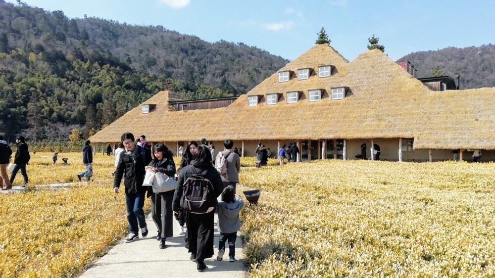 トントンのパン学習会を県外で！コープもりやまさんでお話させていただきました