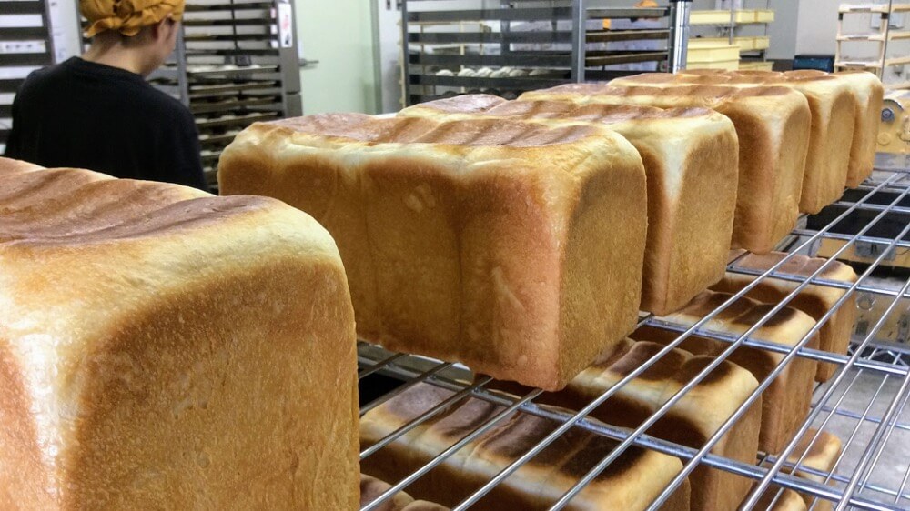 同じ製法で小麦粉の種類を変えてみたら…パンの味はどうなる？