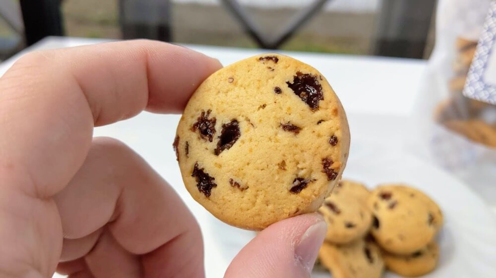 アレルギー対応国産小麦100％クッキー第三段！レーズンクッキー