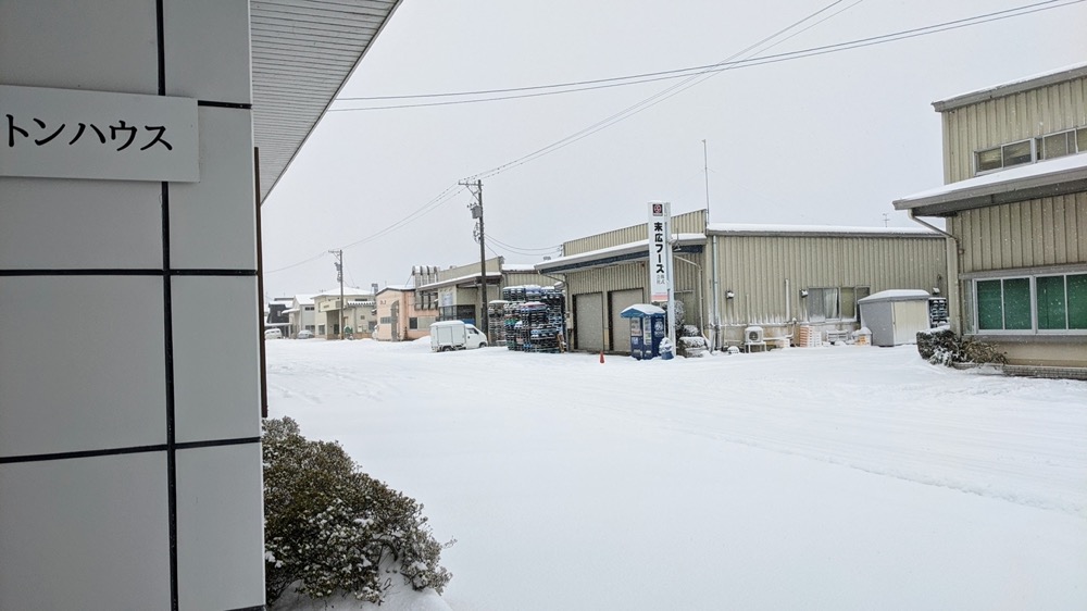 トントンのパンが必要な方は、早めにご注文いただけると幸いです