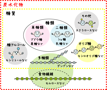 シュガーカットレシピ倶楽部-甘味料のお話より引用