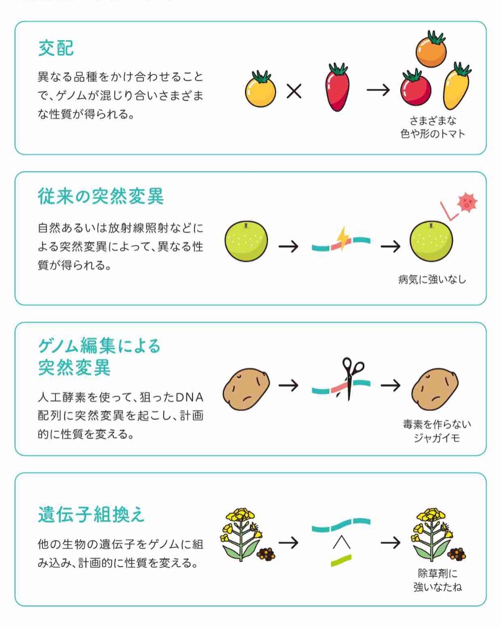 アレルギーの原因物質を除去した卵を開発| アレルギー対応パンのtonton