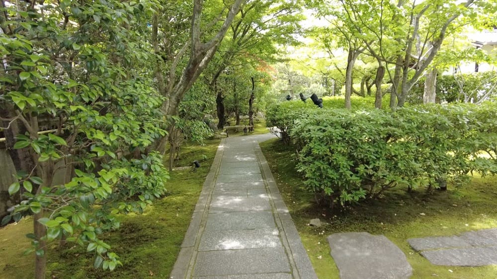 アレルギーが繋いでくれた、圓徳院さんとtontonとのご縁 | アレルギー対応パンのtonton