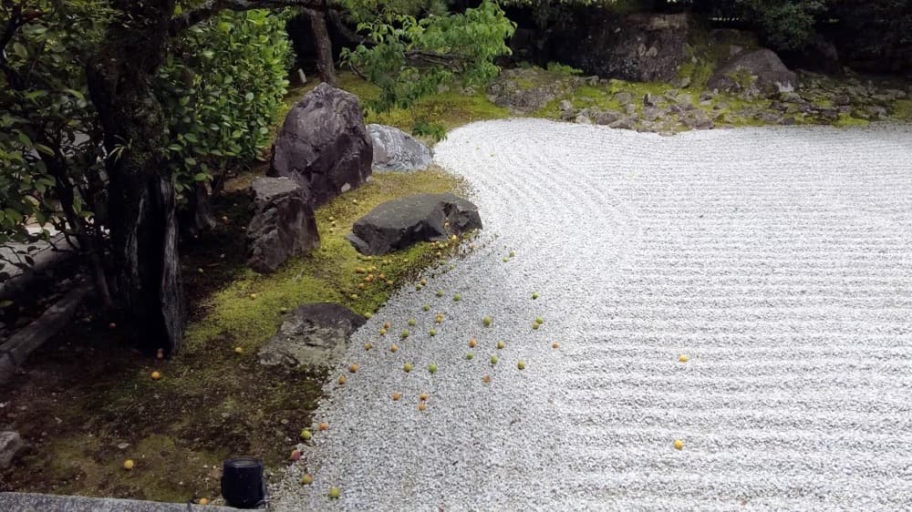 アレルギーが繋いでくれた、圓徳院さんとtontonとのご縁 | アレルギー対応パンのtonton