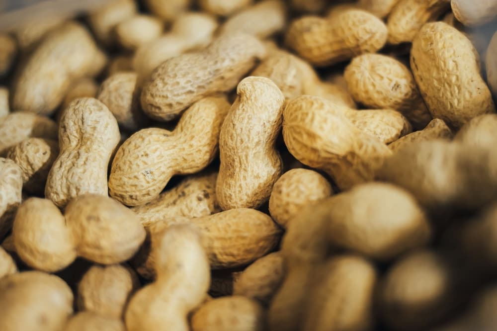 ピーナッツアレルギーとは？深刻なリスクと注意点 | アレルギー対応パンのtonton