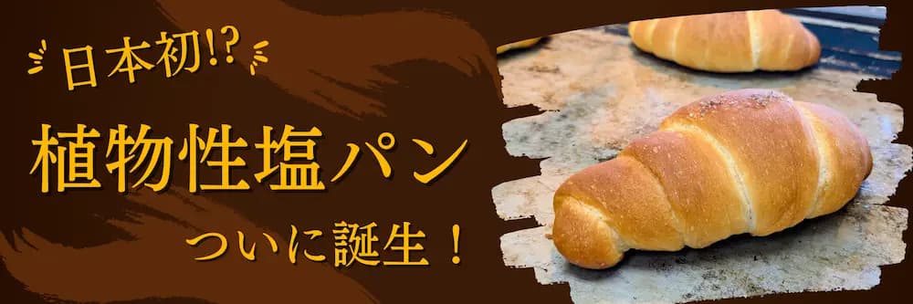 【日本初！？】奇跡の「植物性塩パン」ついに誕生！ | アレルギー対応パンのtonton