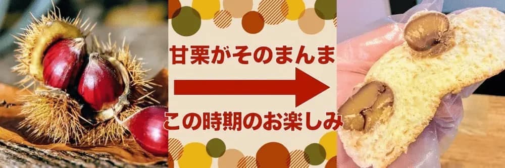 甘栗ゴロゴロ・卵乳不使用・天津甘栗パン | アレルギー対応パンのtonton