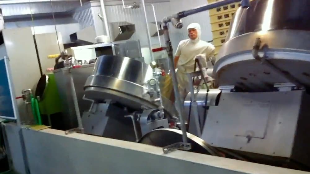 甘さ控えめ、心に残る一口を。トントンが作る“あんパン”物語 | アレルギー対応パンのtonton