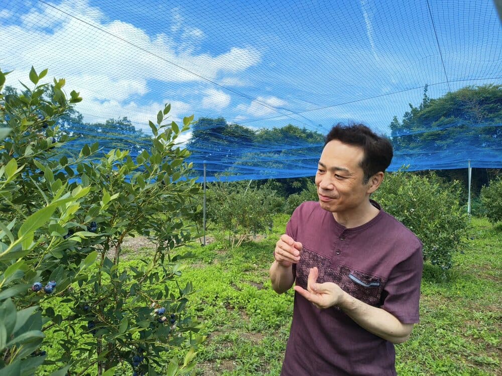 大粒で、力強い。能登のブルーベリーでパンを作りたい。 | アレルギー対応パンのtonton