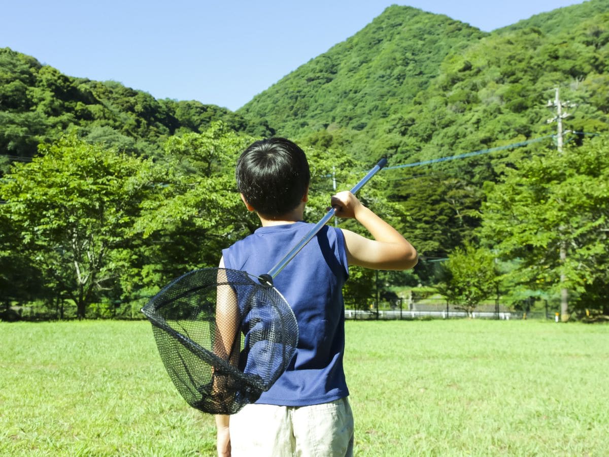 実家の近くの山へ虫取りへ | アレルギー対応パンのtonton