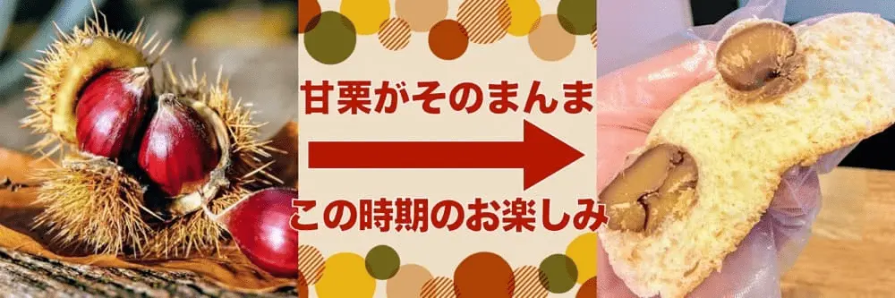 《期間限定》天津甘栗パン | アレルギー対応パンのtonton