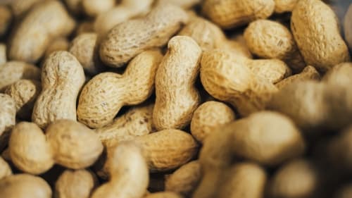 ピーナッツアレルギーとは？深刻なリスクと注意点