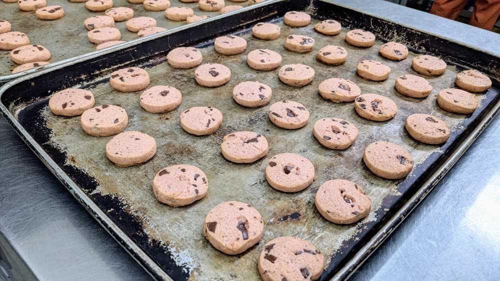 《数量限定》いちごチョコチップクッキー(12枚入り) | アレルギー対応パンのtonton